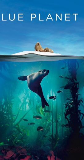 مسلسل Blue Planet II الموسم الاول