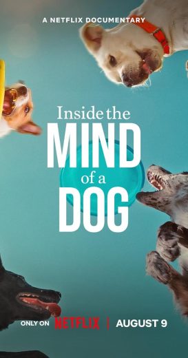 مشاهدة فيلم Inside the Mind of a Dog 2024 مترجم