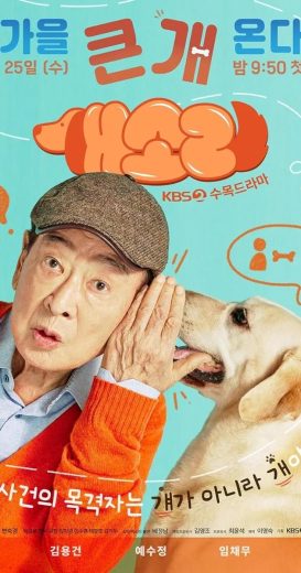 مسلسل كلب يعرف كل شيء Dog Knows Everything الحلقة 10 مترجمة