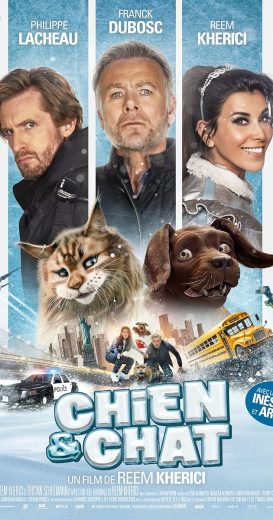 مشاهدة فيلم Cat And Dog 2024 مترجم